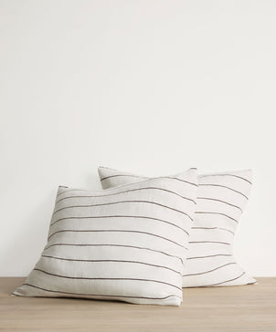 Two striped pillows on a wooden surface with a white background