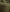 files/Forest-Fitted_043cc24a-3bd5-46e5-b144-0212a6c5215f.jpg