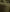 files/Forest-Fitted.jpg