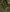 files/Forest-Flat.jpg