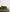files/Forest-Pulled-Back.jpg
