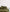 files/Forest-Pulled-Back_9a77d52a-cfcb-40ef-b1e0-f3c9d3f41641.jpg