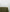 files/Forest-Tablelcoth_3114495e-4447-4896-b2a2-68aaa4b38cc5.jpg