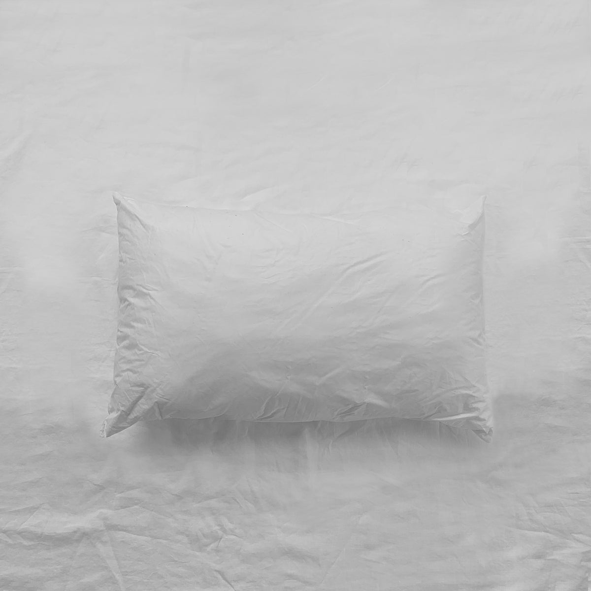 Cushion Insert CULTIVER USA