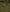 files/Quilted-Forest-02.jpg