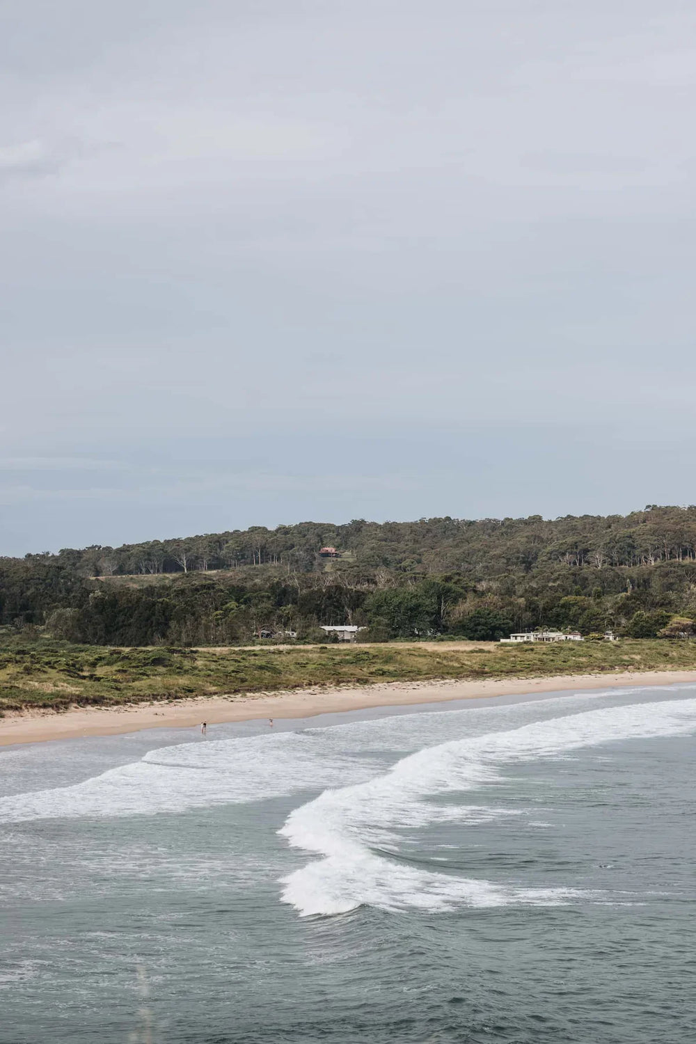 A coastal landscape with ocean waves rolling onto a sandy beach, a line of green trees and shrubs, and a pale overcast sky.