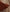 files/Sienna-Quilted-02.jpg
