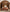 files/Talik-Chestnut-03_34fbef1f-225f-45ee-a066-8b809df5ba38.jpg