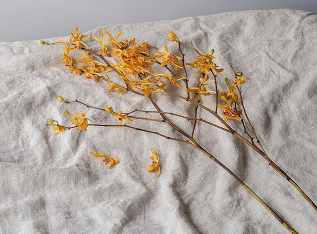 A few stems of yellow florals resting on a Linen Flat Sheet with Border in Smoke Gray.