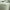 Linen Fitted Sheet - Sage. Sizes: Queen, King