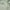 Linen Flat Sheet with Border in Sage